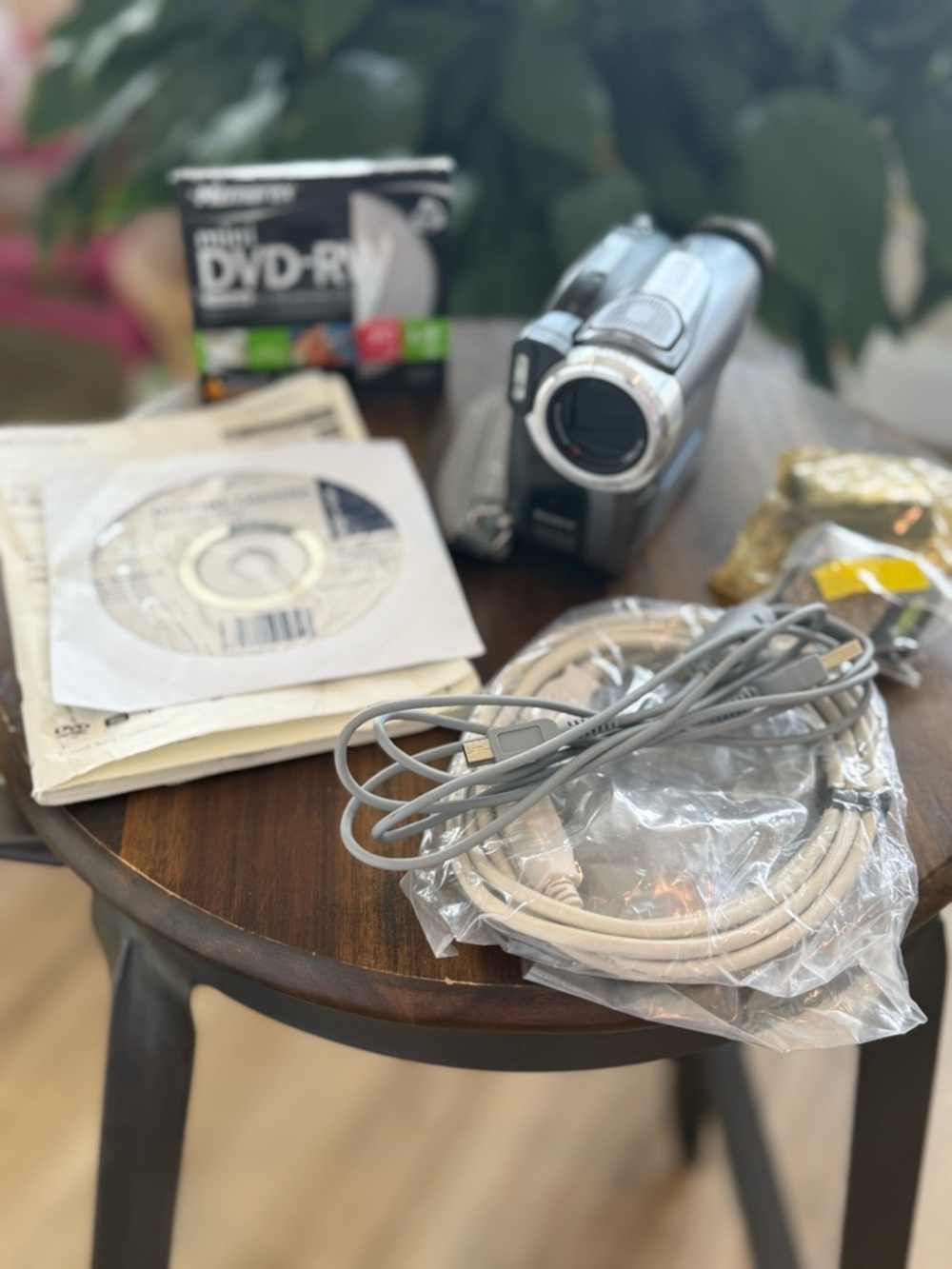 Sony Handheld Digital Camcorder in Silver and Black